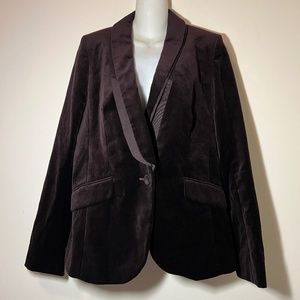 NWT Anne Taylor Loft Brown Lined Jacket Blazer Size 6